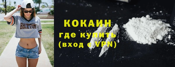 молекула духа Переславль-Залесский