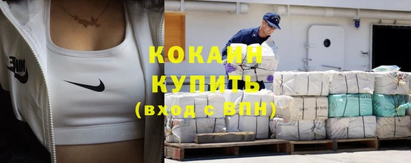 дурь Пересвет