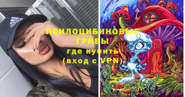 дурь Пересвет