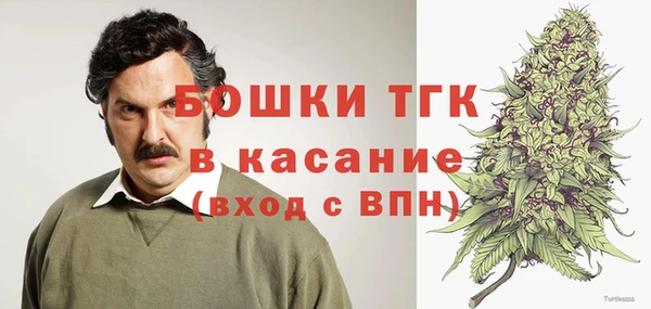 молекула духа Переславль-Залесский