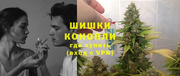 дурь Пересвет